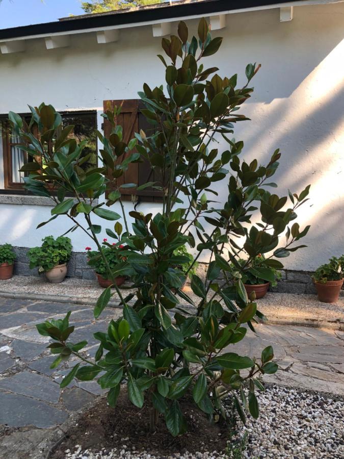 Ortigosa del Monte Villa Aurelia - Casa De Campo Con Jardin Y Piscina Entre Madrid Y Segovia מראה חיצוני תמונה